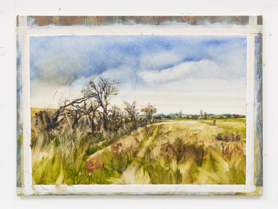 East Lothian Hedgerow
