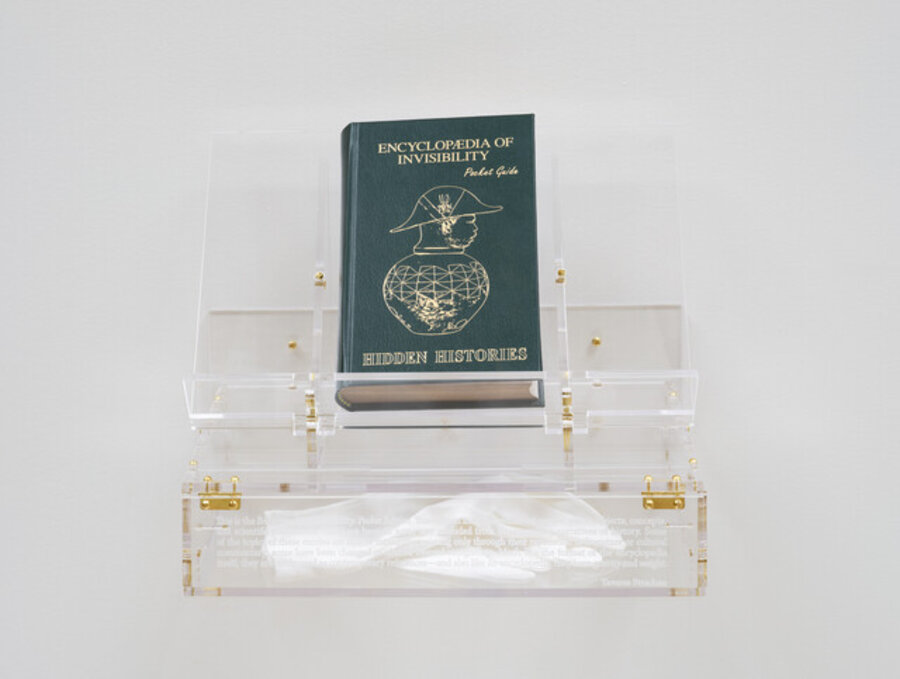 Encyclopedia of Invisibility (Pocket Guide)
