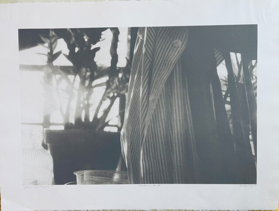 January Light