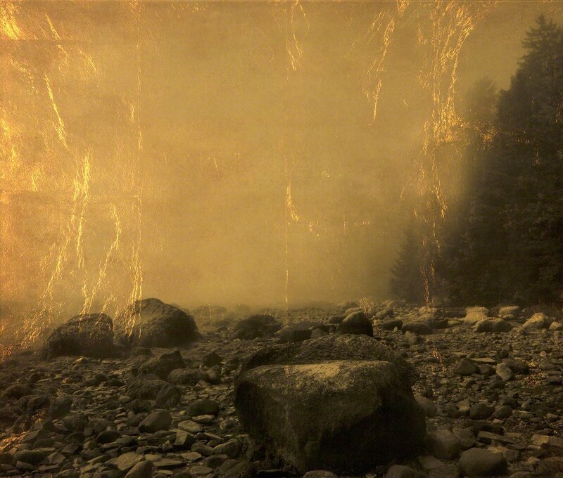 Joyce Tenneson, ‘Moose Point Trees and Rocks’, 2014, Photography, Gold leaf mixed media, Dowling Walsh