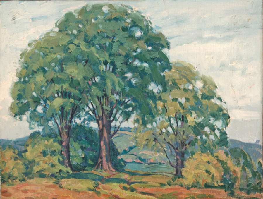 Woodstock Landscape