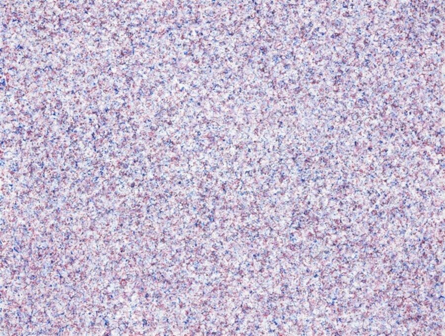 American Foam