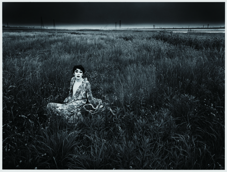 Simmon: A Private Landscape