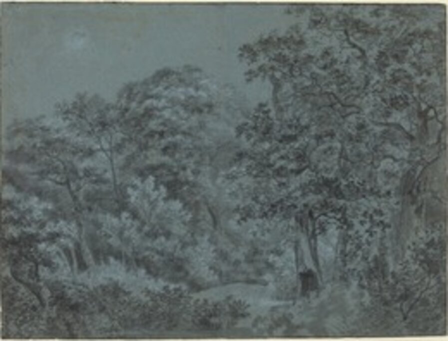In the Hague Woods