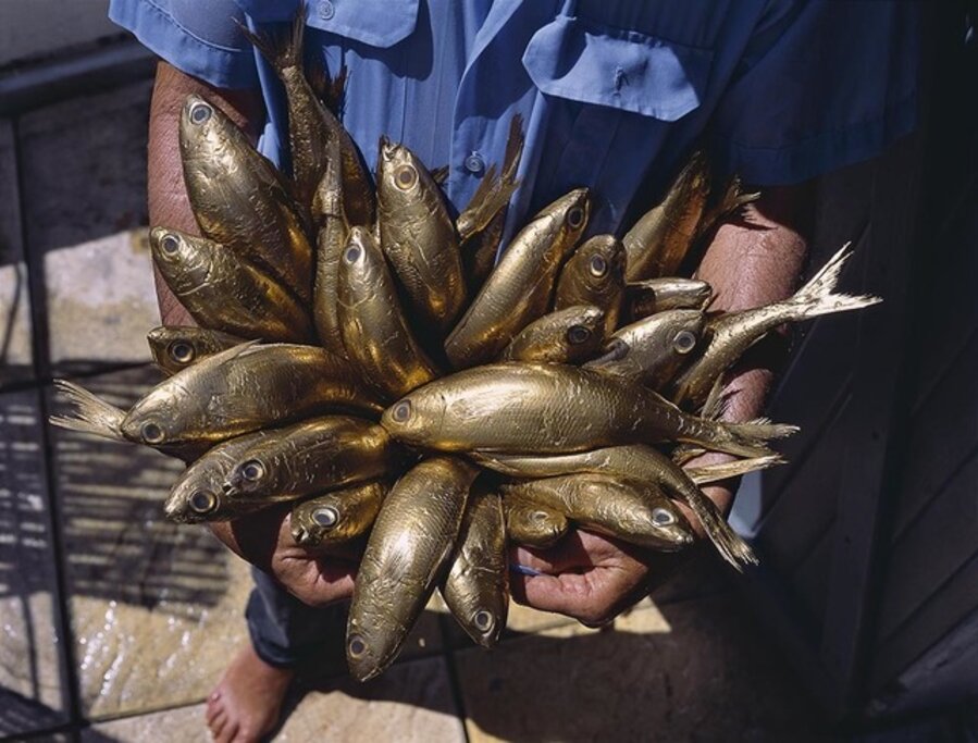 Le pêcheur