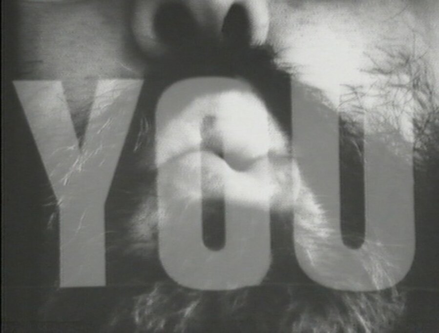 I Love You, I Love You and I Think You Love Me too