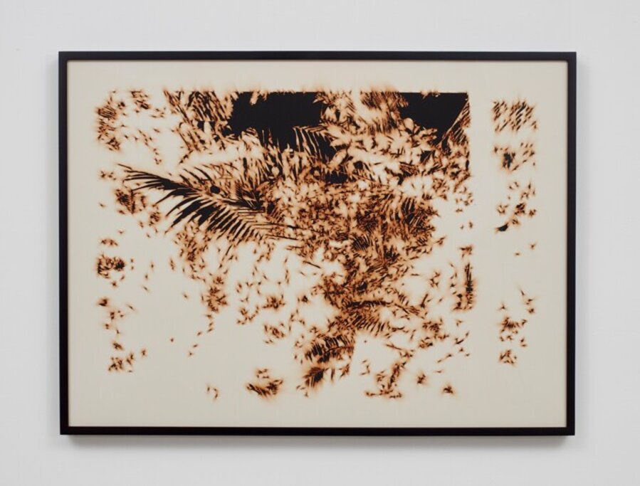 Puerto Rico(Burned) 8