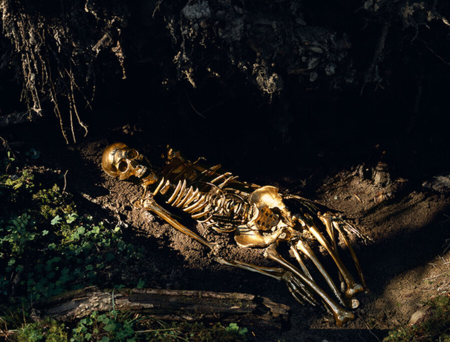 Homo Aurifera
