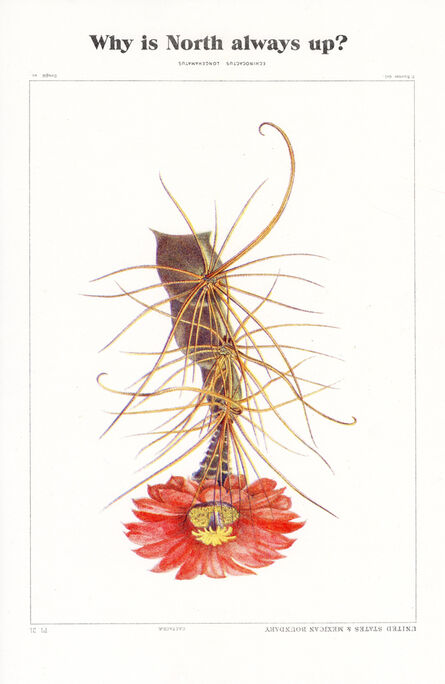 Anri Sala, ‘Why is North always up, Echinocactus?’, 2020