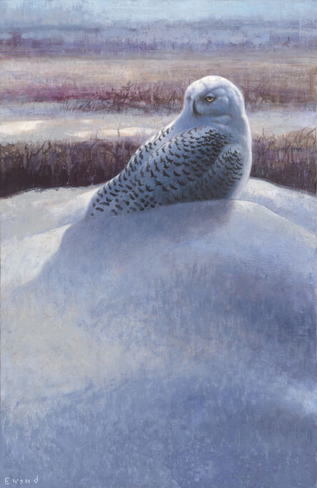 Ewoud De Groot, ‘Snowy Owl’