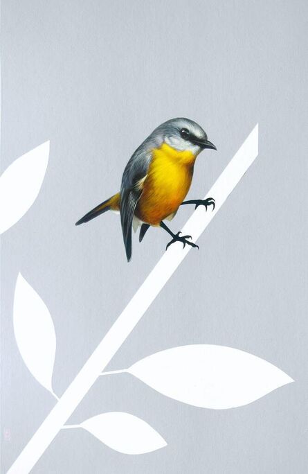Richard Hughes, ‘Eastern yellow robin 3’, 2021