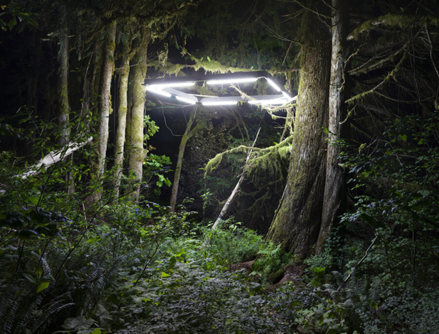 Shelter