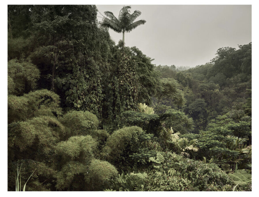 Myths of everyday life VII