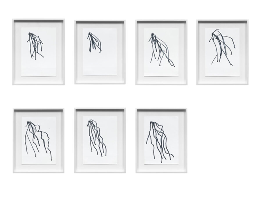 Hair Drawings