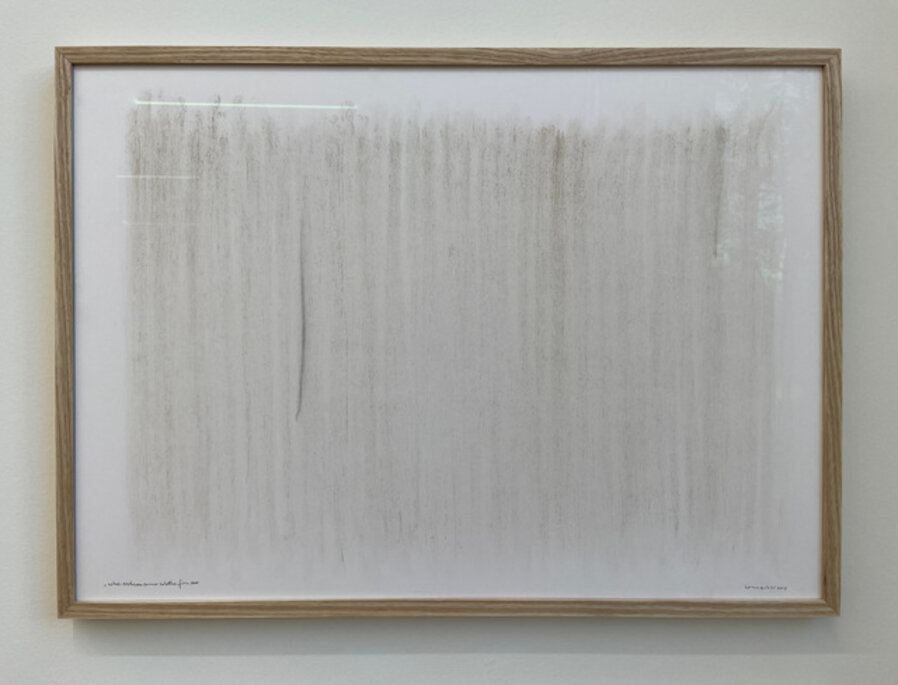 ashes: eschenau summersolstice fire, 2001