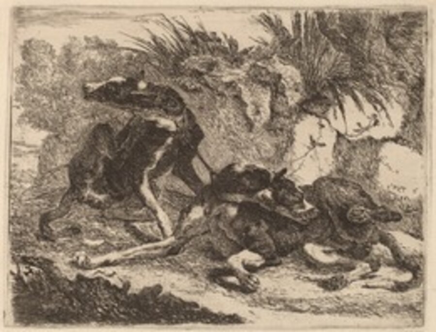 Two Greyhounds, Leashed and Facing Opposite Directions