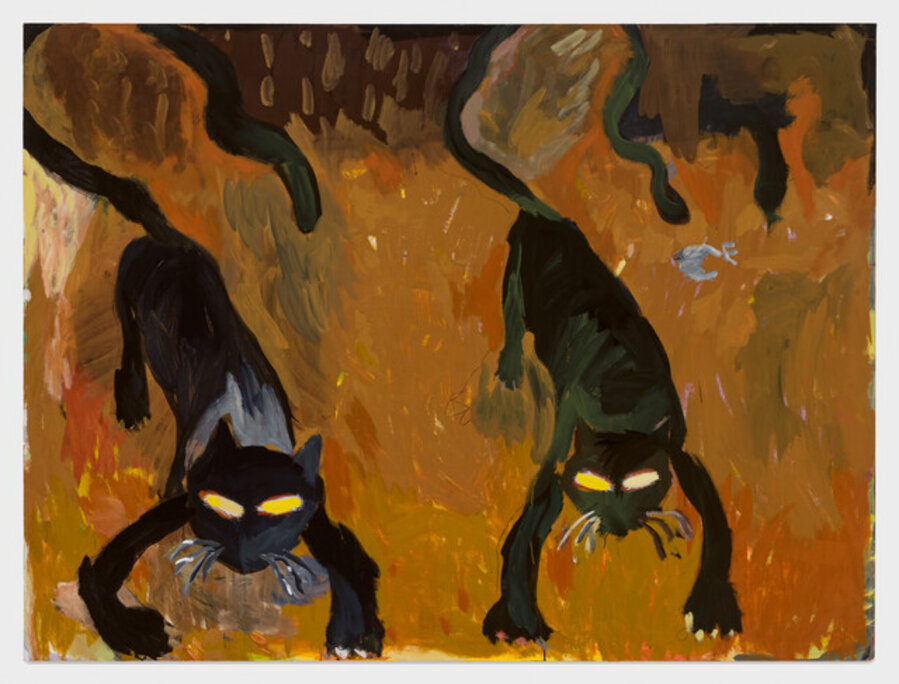Approaching Cats