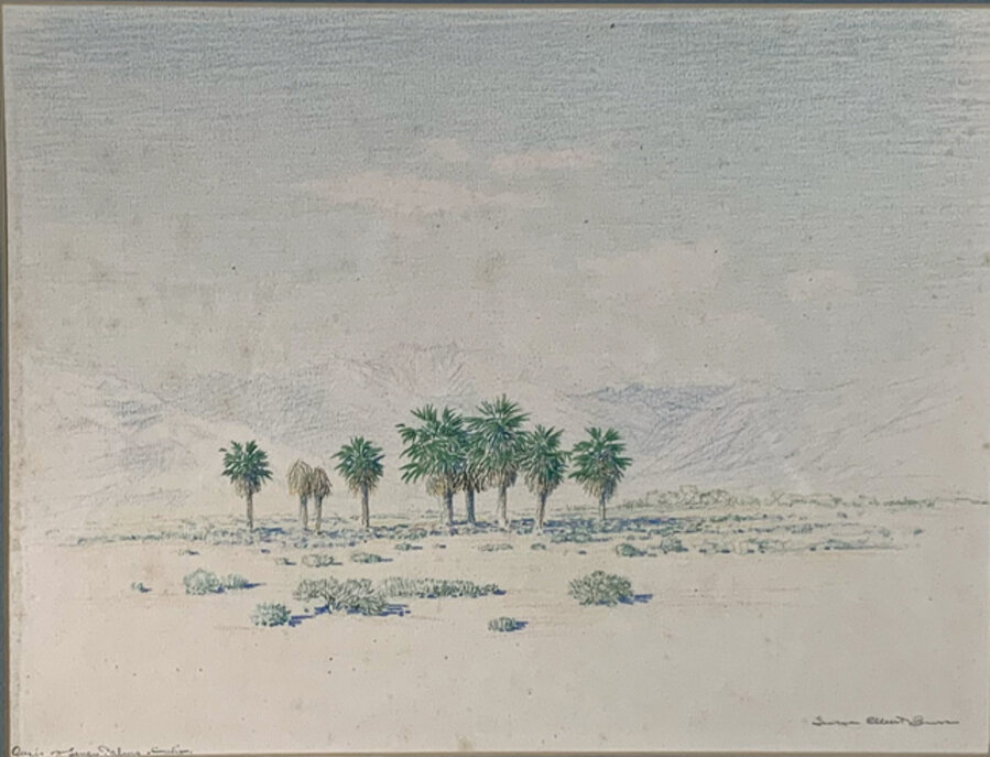 OASIS OF SEVEN PALMS CALIFORNIA