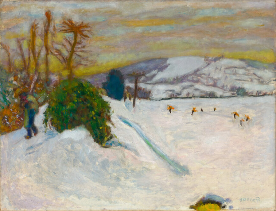 La neige au Grand-Lemps