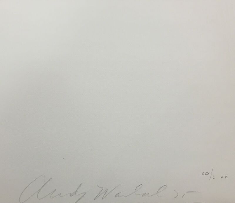 Andy Warhol, ‘LADIES & GENTLEMEN FS II.127’, 1975, Print, SCREENPRINT ON ARCHES PAPER, Gallery Art