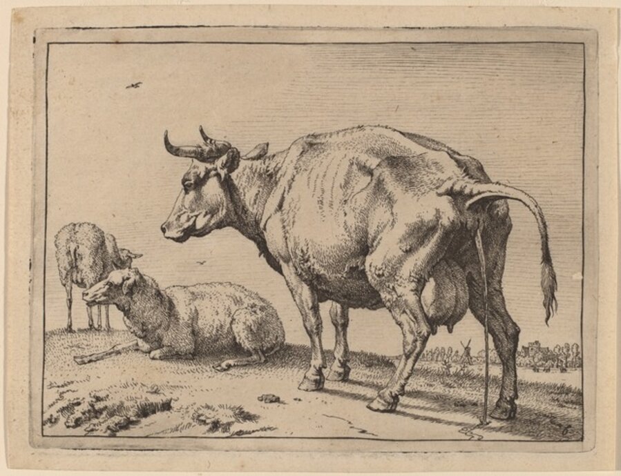 Pissing Cow