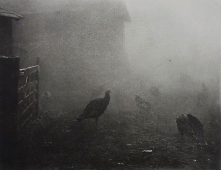 A Corner of the Farm Yard, from the series Marsh Leaves, 1895, total of 300 copies, printed by Emerson