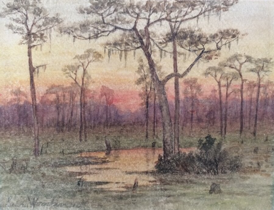 Florida Everglades Scene