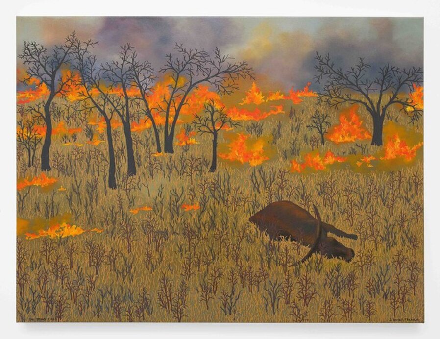 The Texas Fires