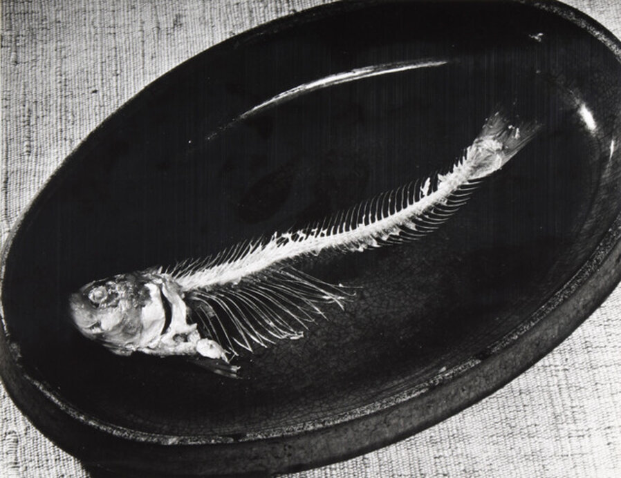 Sans titre (Fish bones)