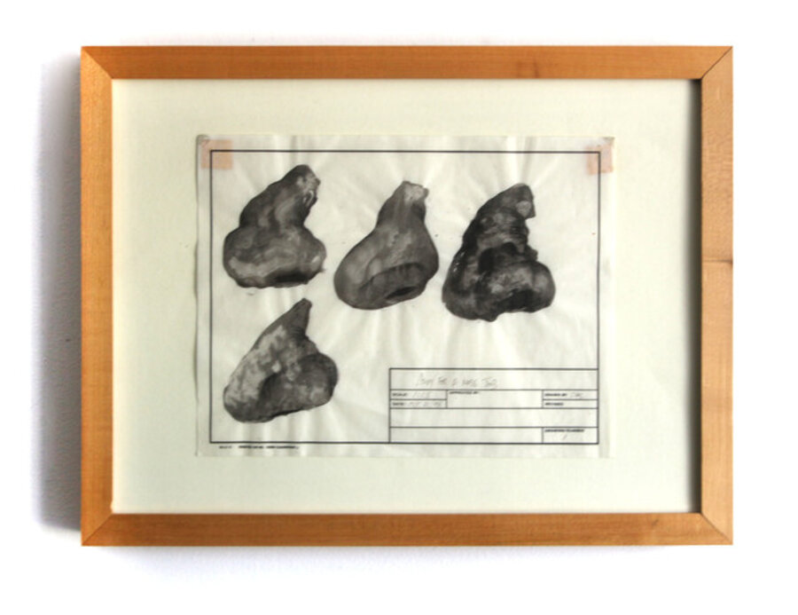 Study For a Nose Job