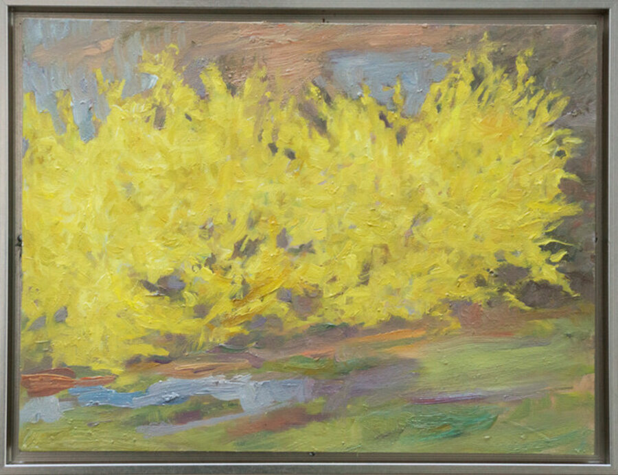 Forsythia II