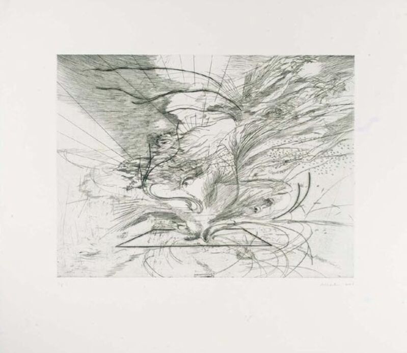 Julie Mehretu, ‘Landscape Allegories,’, 2004, Print, Suite of 7 copperplate etchings with engraving,Dry point, sugar-bite and aquatint, Carolina Nitsch Contemporary Art