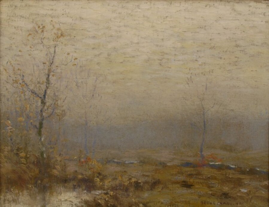 Silvery Grey Morning