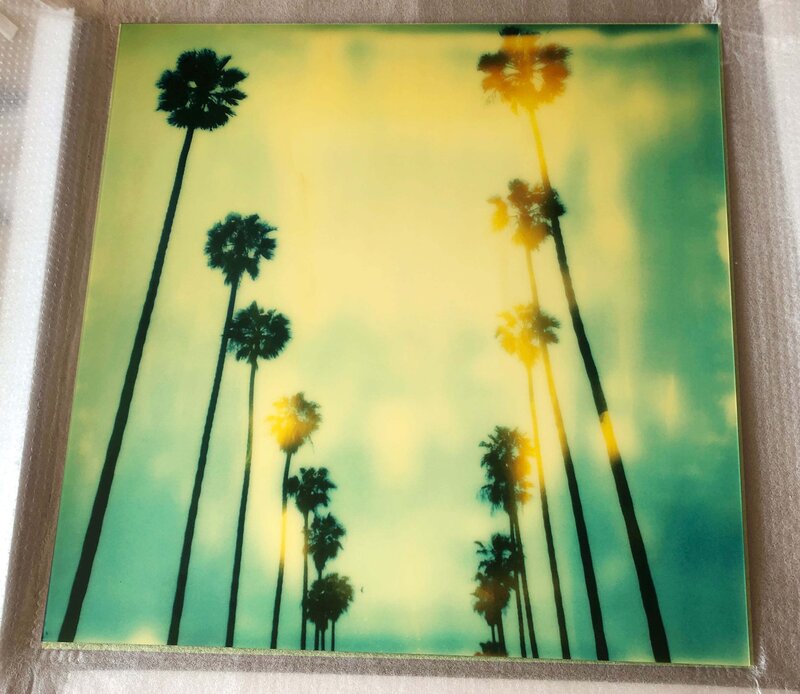 Stefanie Schneider, ‘Palm Trees at Wilcox (Stranger than Paradise) - mounted under Plexi’, 1999, Photography, Digital C-Print based on an original Polaroid,  mounted under matte Plexi, Instantdreams
