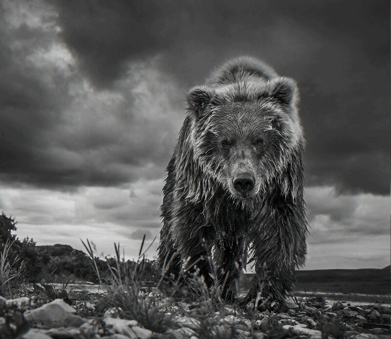 David Yarrow, ‘Funnel Creek’, Photography, Visions West Contemporary
