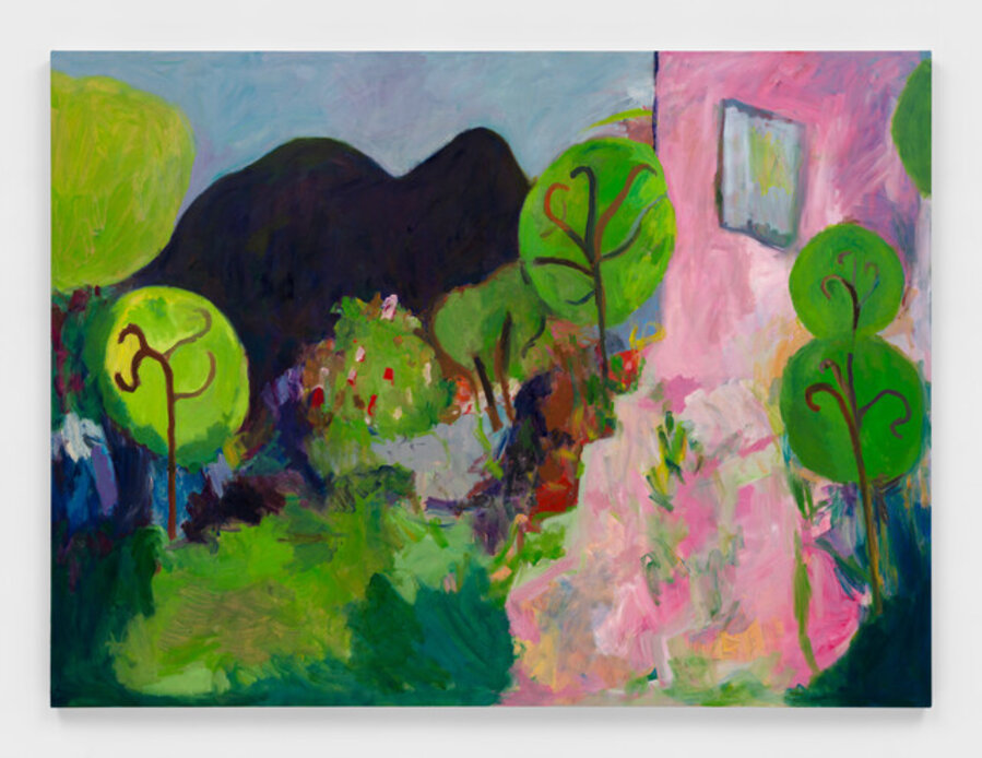 The Pink House