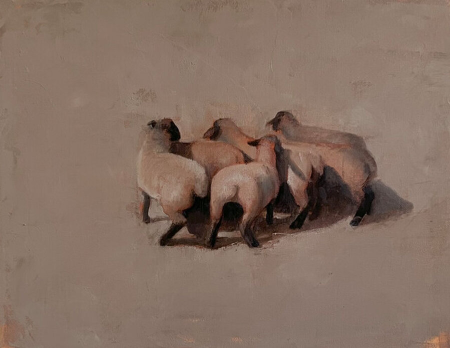 Flock of Sheep