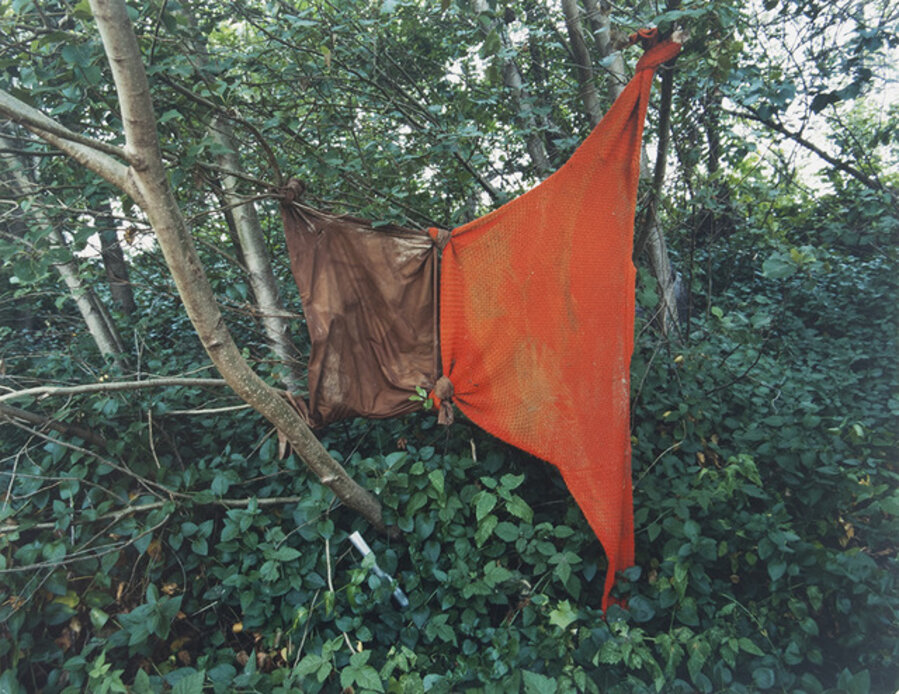 Untitled (#13 Red Sweater tied to brown shirt)
