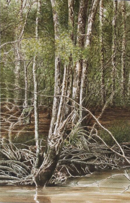 Shirley Rabe' Masinter, ‘Swamp Trees’, 2014