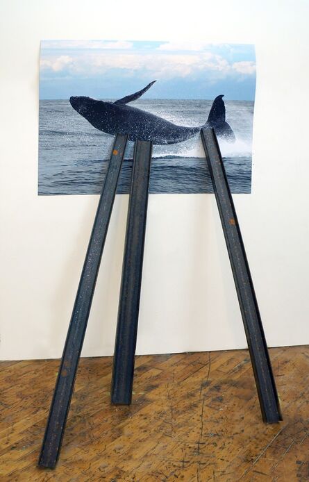 David Brooks, ‘Entangled Image (Humpback whale)’, 2013