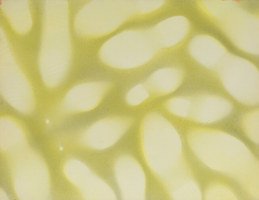 Untitled (X-Ray series)