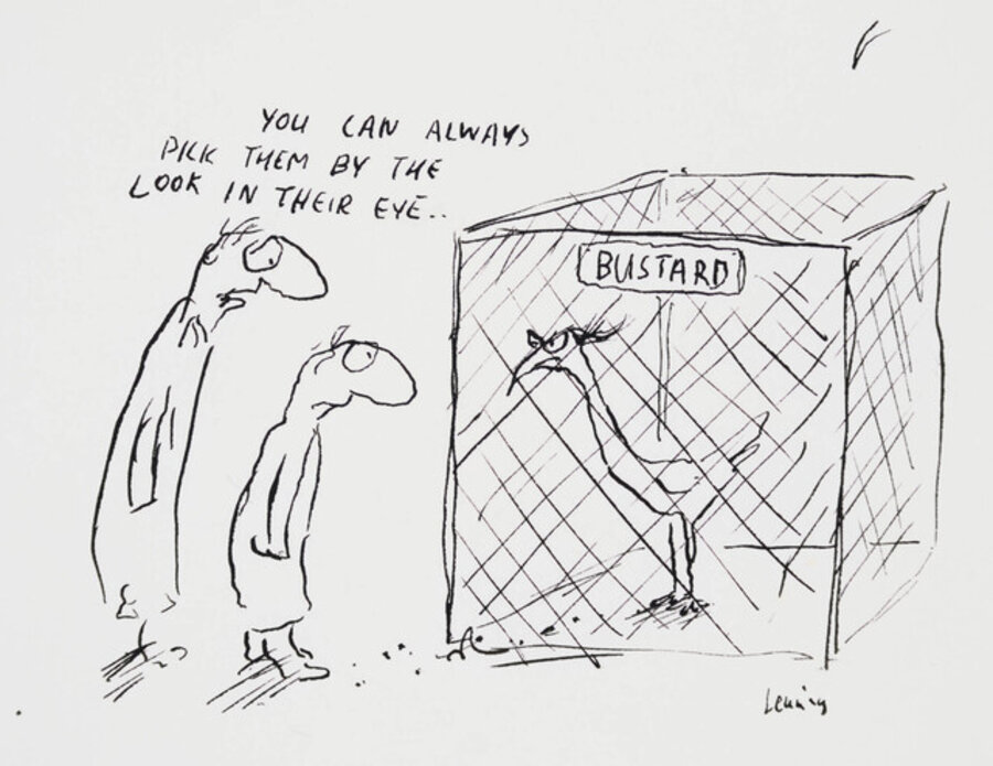 Untitled (Bustard)