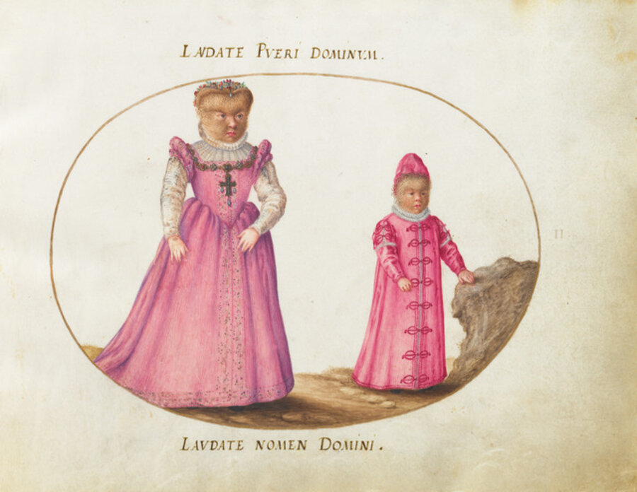 Animalia Rationalia et Insecta (Ignis): Plate II