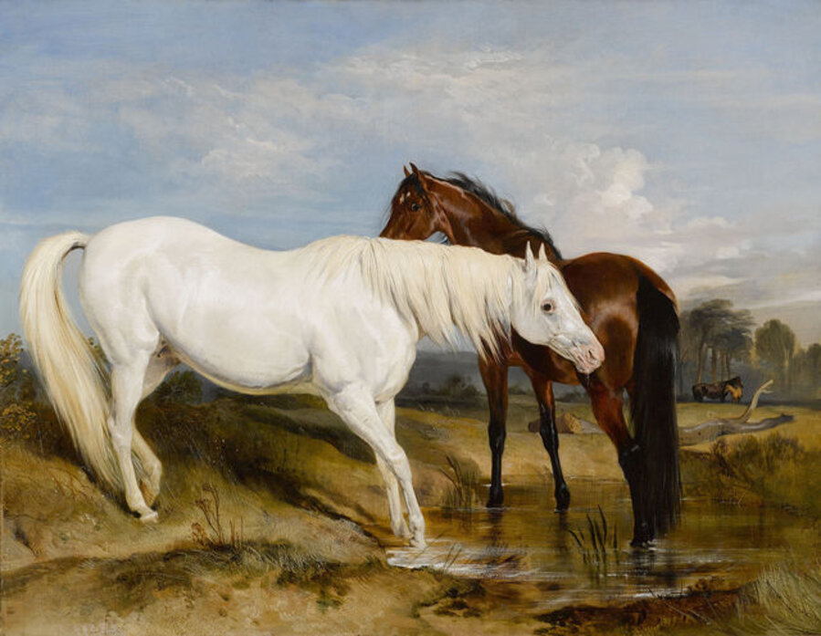 Portrait of an Arab Mare with her Foal