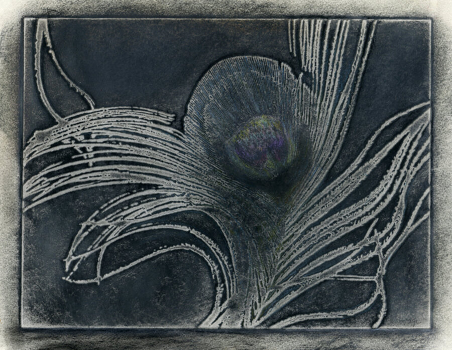 Peacock Feathers