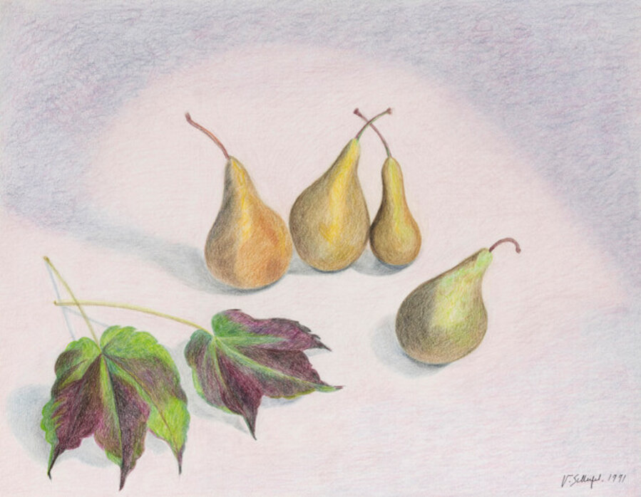 Untitled (Pears)