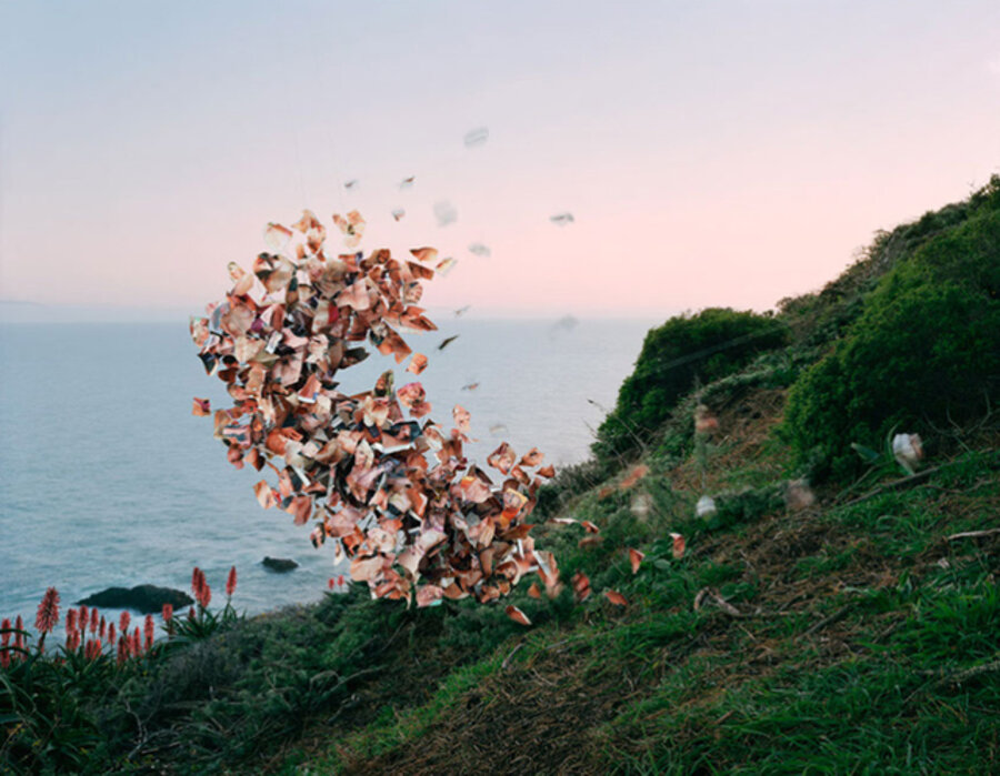 Lusty Wives Vol. #81, Muir Beach, California