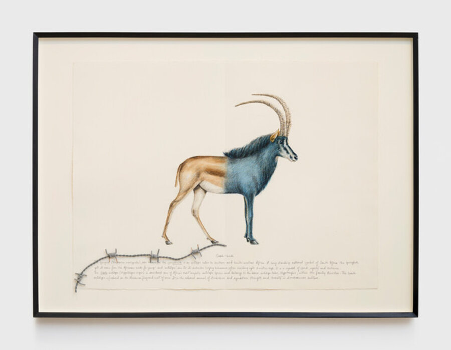 Hyphenated Lives (Sable-buck)