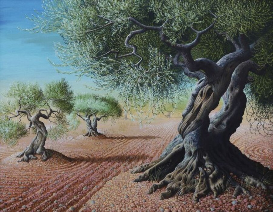 Trees in a landscape