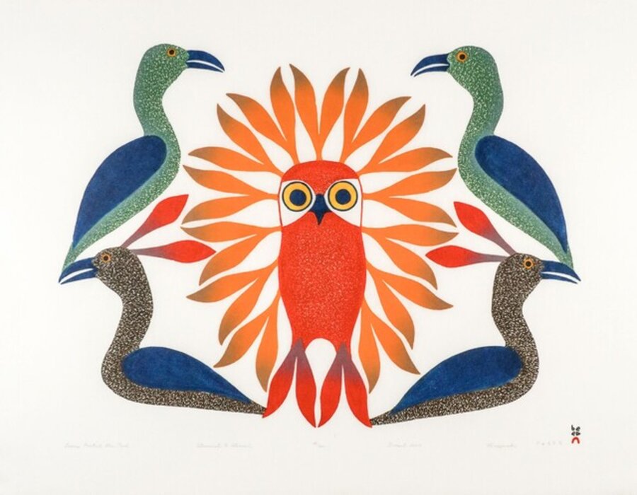 LOONS PROTECT THE OWLS